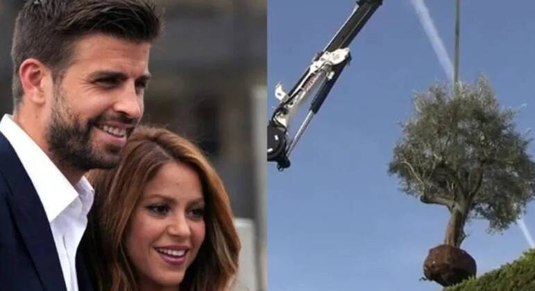 Shakira mandou guinchar árvore do quintal do ex