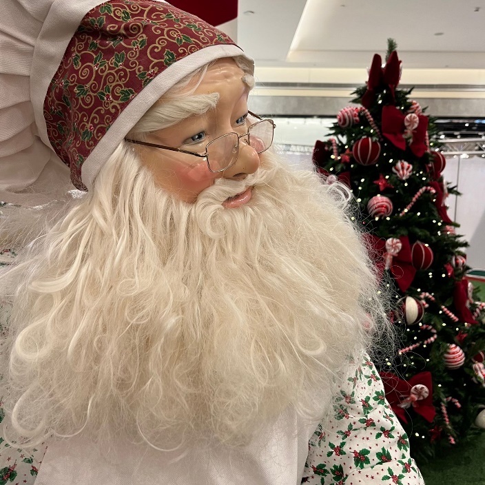 Shoppings ganham decoração e eventos de Natal em São Paulo - Fotos - R7 São  Paulo