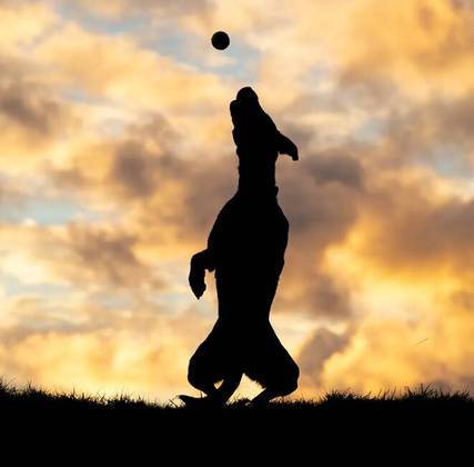 “Silhueta de jogo de bola”: Esta foto belíssima mostra a silhueta de um cachorro prestes a abocanhar sua bolinha. 