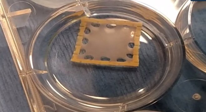 Simulação de um 'curativo que pulsa' para o coração