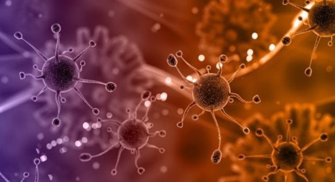 As células vão perdendo sua capacidade de se regenerar