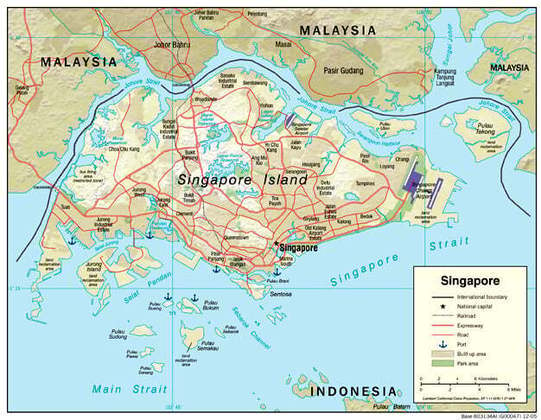Singapura é uma cidade-estado localizada no sudeste da Ásia, na ponta sul da Península Malaia. Embora seja uma nação insular, Singapura também inclui algumas ilhas menores no seu território.