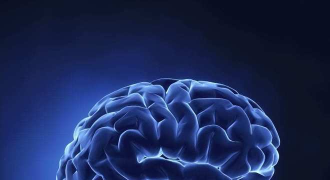 Sistema Endócrino, o que é? Definição, características e principais órgãos