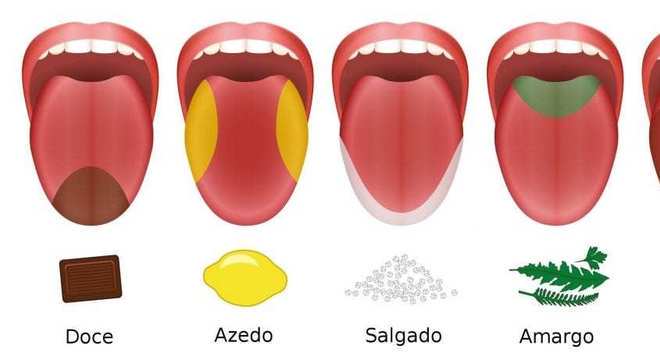 Sistema Sensorial, o que é? Definição, principais funções e fisiologia