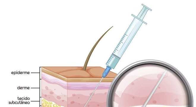 Sistema Tegumentar, o que é? Definição, estrutura e principais divisões