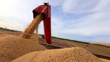 Governo apresenta plano para escoamento da safra de grãos em 2024; veja detalhes