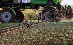 Produtor rural faz aplicação de herbicida em plantação de soja, em desenvolvimento, no município de Corbélia, na Região Oeste do Paraná 