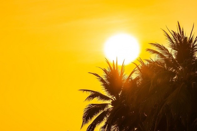 SolA exposição aos raios solares — preferencialmente nas primeiras horas do dia — também é descrita por especialistas como vantajosa na hora de elevar os níveis de serotonina