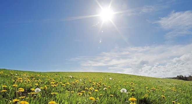 Os seres vivos precisam do calor do Sol para sobreviver