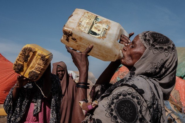 A seca dizimou os rebanhos, cruciais para a sobrevivência de uma população majoritariamente dedicada ao gado, e as plantações, que foram atingidas por uma invasão de gafanhotos no Chifre da África entre o fim de 2019 e 2021. As consequências da pandemia de Covid-19 tornaram ainda mais precária a vida de muitos somalis