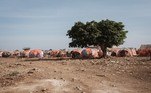 As condições extremas podem prosseguir ao menos até março de 2023. Em todo o país, 7,8 milhões de pessoas, ou seja, quase metade da população, foram afetadas pela seca histórica. Um total de 213 mil estão diante de grande risco de fome, de acordo com a ONU. A fome e a sede obrigaram 1 milhão de cidadãos a sair de casa desde 2021