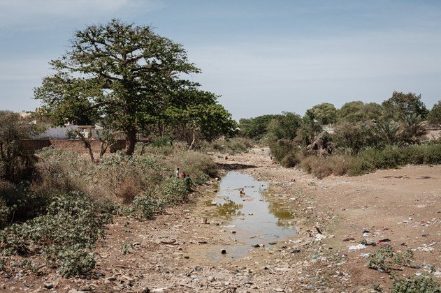 A Somália foi atingida entre 2011 e 2012 por uma fome que matou cerca de 260 mil pessoas, metade das quais eram crianças com menos de 6 anos. A fome foi declarada em várias partes do sul e centro do país entre julho de 2011 e fevereiro de 2012