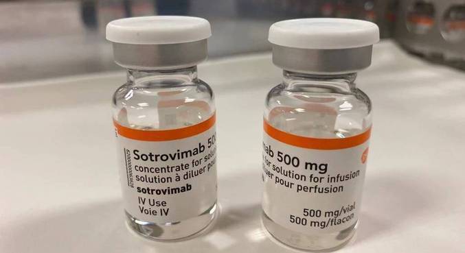 Anticorpo monoclonal é eficaz contra a Ômicron