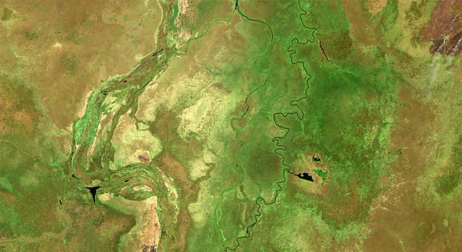  Região de Sudd: os micróbios em solos saturados produzem metano