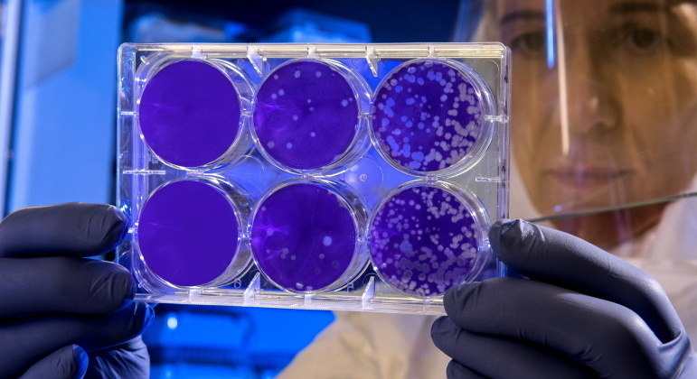 Uso excessivo de antibióticos dá margem a aparecimento de superbactérias