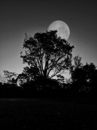Nesta bela imagem em preto e branco, a Lua de Morango mostra sua grandiosidade em Santo André, região do Grande ABC, em São Paulo