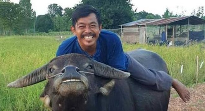 Thong Kham começou a 'imitar' seu amigo humano nas fotos, que viralizaram nas redes sociais