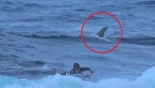 Surfista rema na base do desespero ao avistar tubarão bem atrás dele
