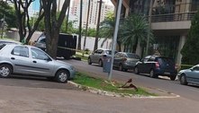 Suspeita de bomba no Setor Hoteleiro Norte mobiliza policiais em Brasília