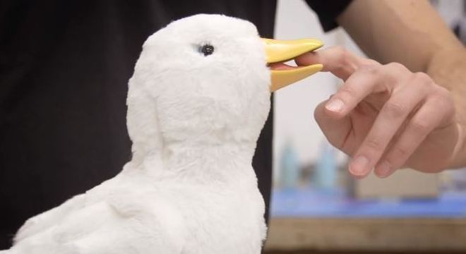 Projeto "My Special Aflac Duck" foi vencedor do prêmio Interactive Innovation Awards 2019