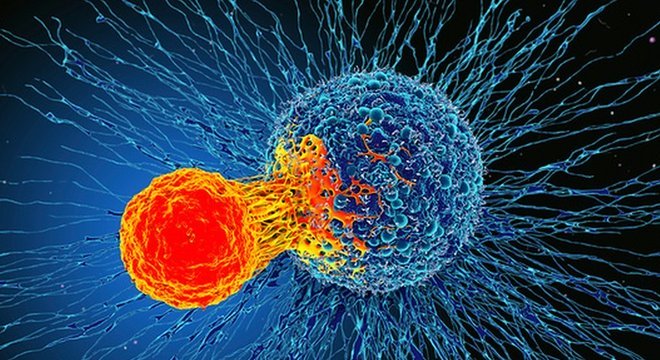 T-cells atacam células cancerosas