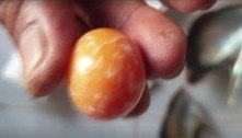 Pescador encontra pérola laranja de R$ 1,8 mi em praia na Tailândia