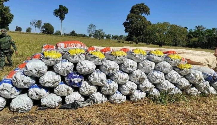 Também há uma grande incidência de ilegalidades neste setor no  Mato Grosso. A polícia ambiental tem feito apreensões de grandes quantidades de sacos de carvão.