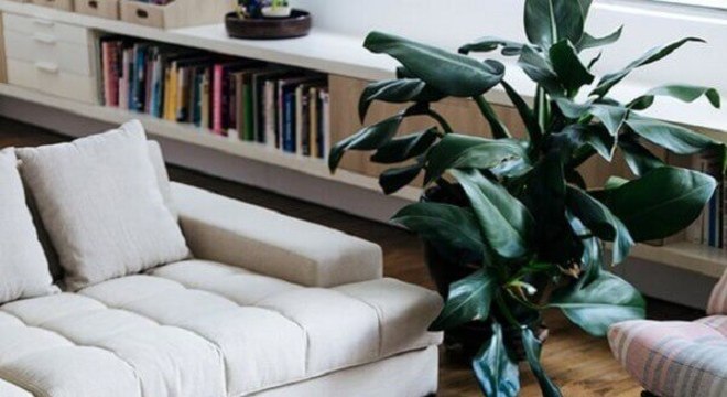 tapete de couro com grafismo