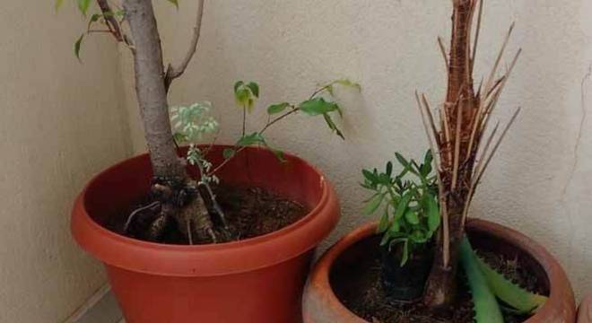 tapete de crochê quadrado com flor 