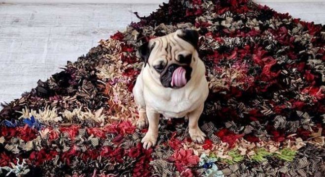 Tapete frufru colorido