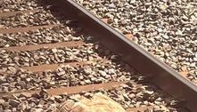 Tartaruga gigante nos trilhos causa atrasos em ferrovia na Inglaterra