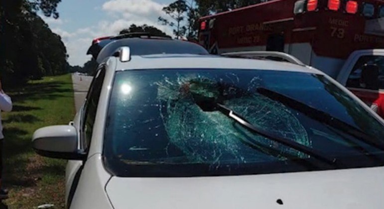 Uma tartaruga acertou a cabeça de uma motorista nos EUA, após varar o para-brisa do carro

