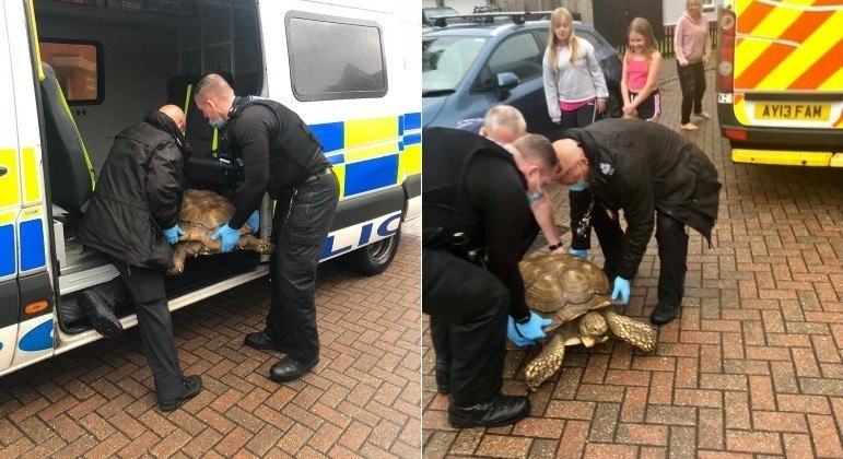 Tartaruga-gigante mobilizou policiais de Kesgrave, na Inglaterra, após fugir de casa