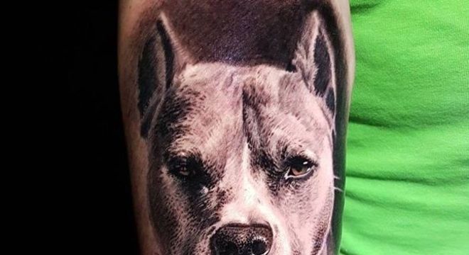 Tatuagem de cachorro: modelos incríveis para se inspirar