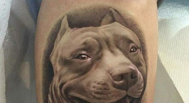 Tatuagem de cachorro: modelos incríveis para se inspirar