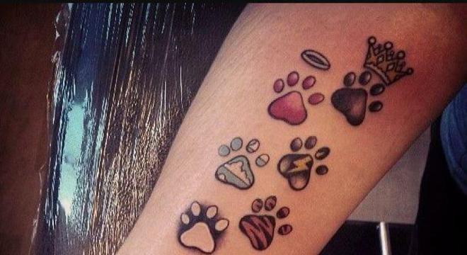 Tatuagem de cachorro: modelos incríveis para se inspirar