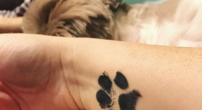 Tatuagem de cachorro: modelos incríveis para se inspirar