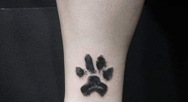 Tatuagem de cachorro: modelos incríveis para se inspirar