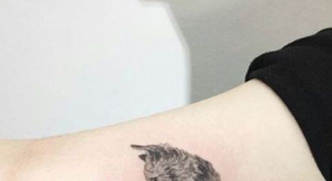 Tatuagem de cachorro: modelos incríveis para se inspirar