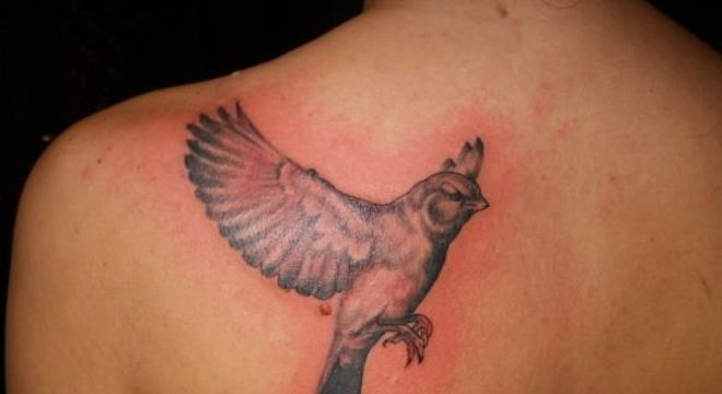 Tatuagem inflamada, o que é? Sintomas, tratamento e prevenção