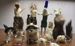 Jack Devaney é um artista, e os objetos de sua arte são animais mortos. Com técnicas de taxidermia, ele cria novas espécies de animais, quimeras assustadoras que envolvem até objetos tecnológicos, como plugs USB e mouse. Coisa fina!