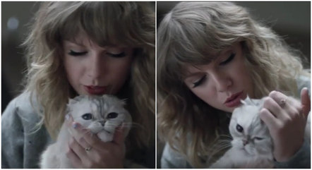 Taylor Swift com sua gata Olivia Benson