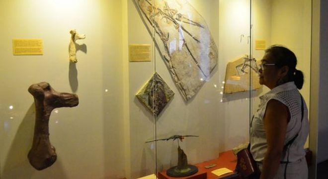 Ao liberar a entrada gratuita em alguns períodos de visitação, o Museu Nacional passou a receber mais pessoas de baixa renda e negros 