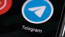Grupos gigantes e chats secretos: quais as diferenças entre o Telegram e o WhatsApp
