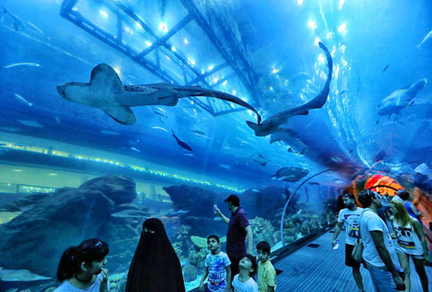 Tem 33 mil animais, incluindo tubarões e arraias, em 10 milhões de litros de água. O aquário tem um túnel de termoplástico que se estende por 33 metros.