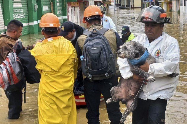 As autoridades salvadorenhas relataram a morte de nove pessoas na manhã de segunda-feira devido à tempestade Julia, incluindo cinco soldados. Pelo menos 830 pessoas foram retiradas de áreas de risco. As autoridades de El Salvador e da Guatemala também cancelaram as aulas nesse dia