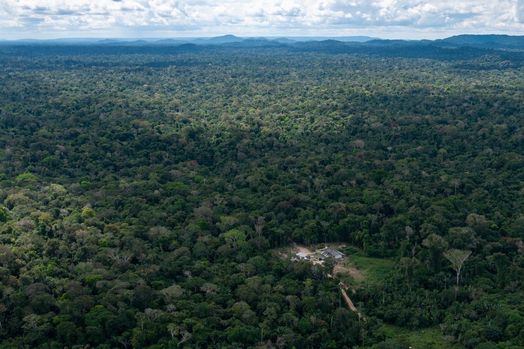 As melhores trilhas em Colniza, Mato Grosso (Brasil)