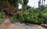 Um terremoto de 5,6 graus de magnitude atingiu a província de Java Ocidental, a mais populosa do arquipélago do Sudeste Asiático, na segunda-feira. O balanço mais recente do desastre é de 271 mortos, mais de 2.000 feridos e 40 desaparecidos