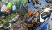 Terror! Mulher desaparecida é encontrada morta dentro de cobra de quase 7 m
