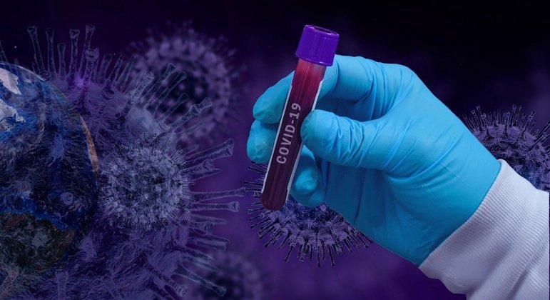 Anticorpos para o coronavírus foram detectados em 210 amostras de sangue